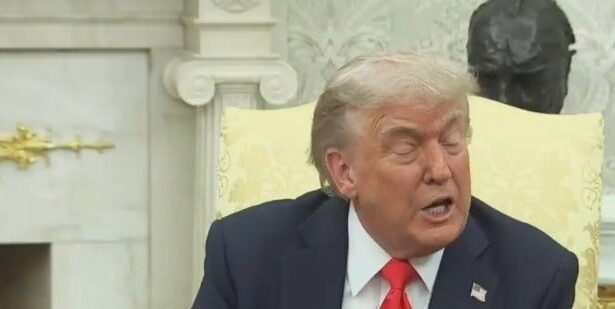 Trump Can’t Hold It Together As He Trashes Elon Musk