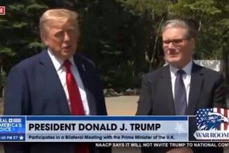 Trump Fires Back at Tucker Carlson Again: ‘Let Him Get a TV Network So People Actually Listen’ (VIDEO) |