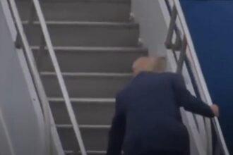 Trump Is In Such Severe Decline That He Almost Fell Boarding Air Force One