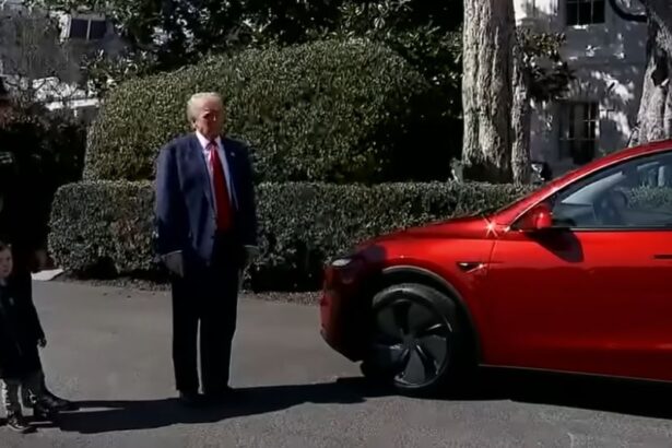 Trump Wants to Give Away or Sell His Tesla He Bought from Elon Musk |