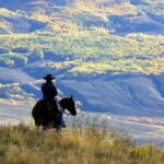 Trump administration plans to rescind rule blocking logging on national forest lands
