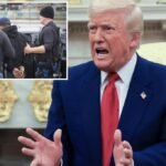 Trump to flood big cities like LA and NYC with ICE agents in ‘single largest Mass Deportation Program’ in history