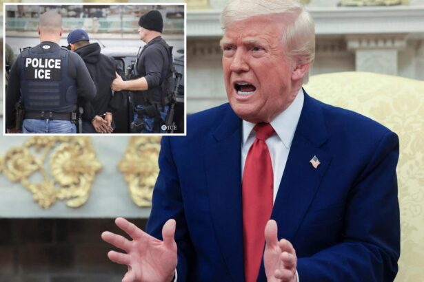 Trump to flood big cities like LA and NYC with ICE agents in ‘single largest Mass Deportation Program’ in history