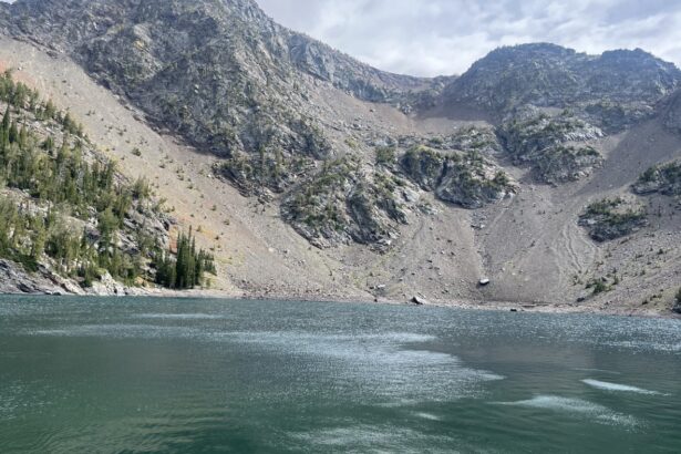 Trump to rescind ‘Roadless Rule’ which protects 58 million acres of forest land : NPR