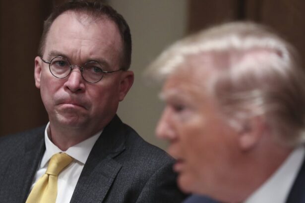 Trump’s Ex-Chief Of Staff Spots 1 Glaring ‘Problem’ With New White House Flagpoles