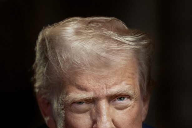 Trump’s New Portrait Is as Perverse as His Second Term