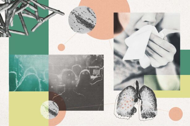 Tuberculosis’s extraordinary evolution reveals why the ancient disease lives on