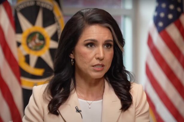 Tulsi Gabbard Breaks Silence After Trump Publicly Refutes Her Comments on Iran’s Nuclear Program |