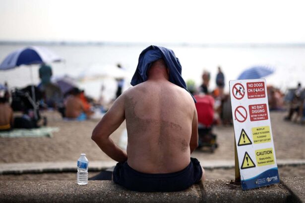 UK should expect summers above 40°C in next decade, warns Met Office