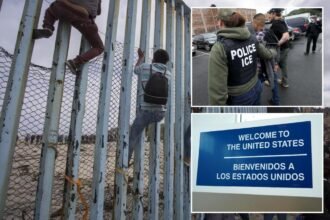 US needs to boost legal immigration to strengthen economy