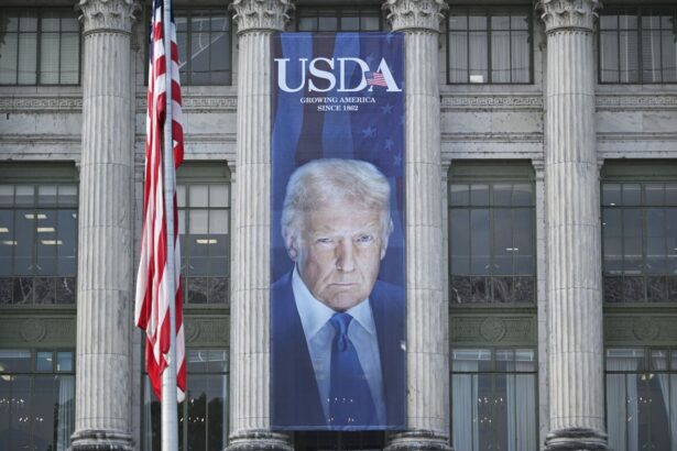 USDA pauses demand for sensitive food stamp data from states : NPR