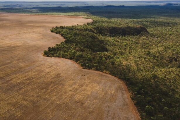 Unlevelling the land