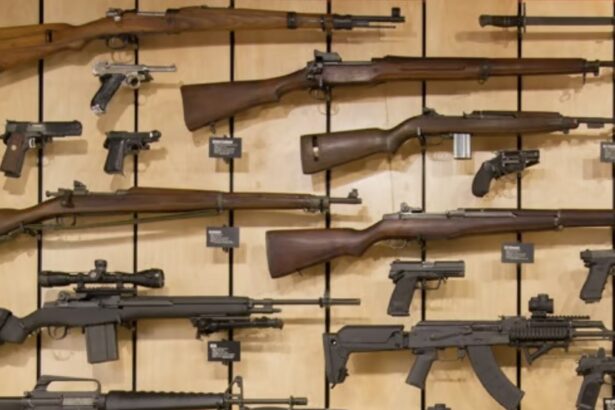 Unlock Unbeatable Prices for Ammo, Firearms and More at This New Buying Club for 2A Supporters |