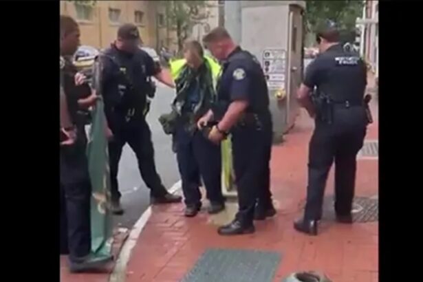 VIDEO: Armed Man, Seemingly Impersonating Law Enforcement, Arrested During Pennsylvania ‘No Kings’ Protest |