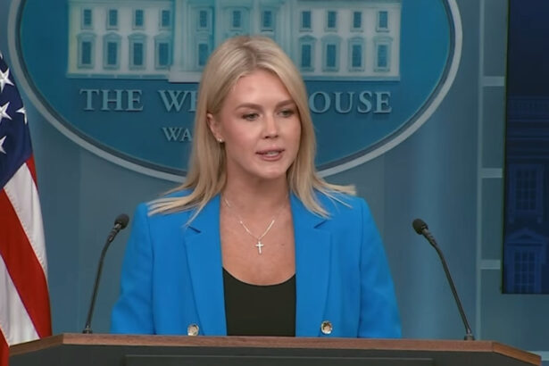 (VIDEO) Karoline Leavitt DESTROYS Clueless Fake News Reporter Suggesting Trump Sent Military to California to Distract From Elon Musk Feud |