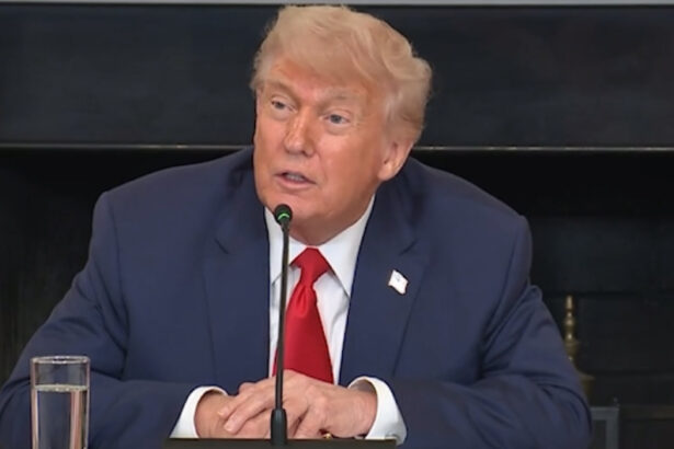 (VIDEO) President Trump Responds to Allegations that Elon Musk Assaulted Treasury Sec. Scott Bessent, Used Drugs – “I Really Don’t Know” |