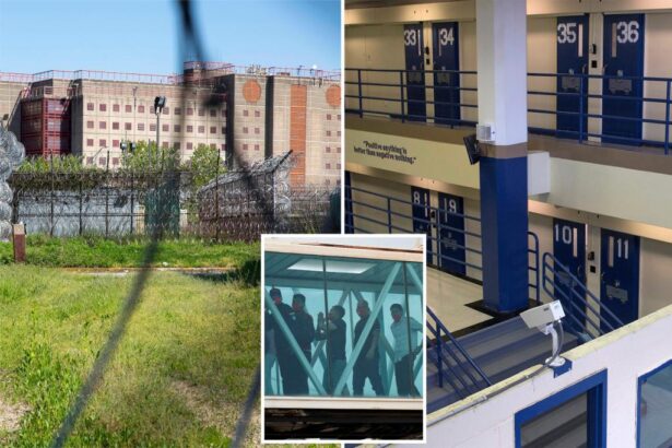 Venezuelan migrant who’d rather go to Rikers than face ICE likely won’t stay out of feds’ hands for long