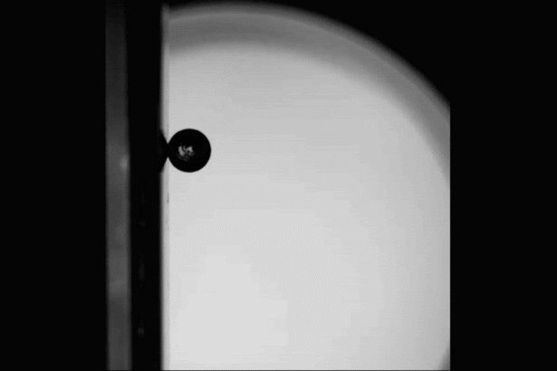 Vertically rolling ball ‘challenges our basic understanding of physics’