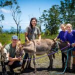 Veterans And Caregivers Heal Through Agriculture
