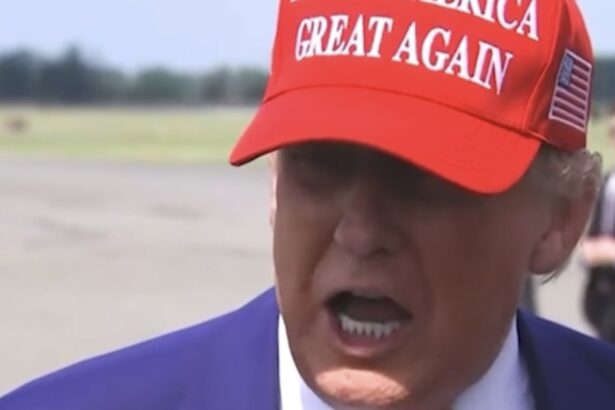 WATCH: President Trump Destroys “Incompetent Governor” Gavin Newsom, Signals National Guard Could be Used in Other Sanctuary Cities: “We Saved Los Angeles” |