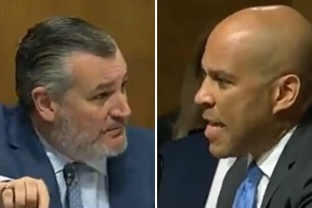 WATCH: Ted Cruz Causes Cory Booker to Snap with a Simple Question During Hearing on Federal Judges – Then Cruz Finishes Him with a Blunt Reply |
