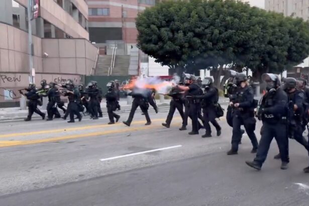 WAYNE ROOT: Here is How to Deal with Illegal Alien Rioters in Los Angeles. Hint: “Blue Man Group” |