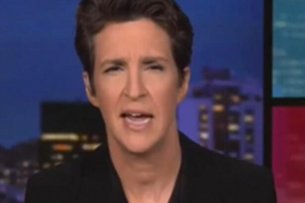 Watch Rachel Maddow LIE to Her Audience About the Florida Sheriff Who Warned Would-Be Rioters Ahead of ‘No Kings’ Protests (VIDEO) |