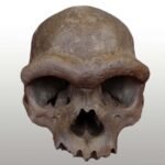 We finally know what the face of a Denisovan looked like