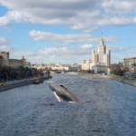 Whale-watching the stablecoin trade in ersatz roubles for sort-of dollars