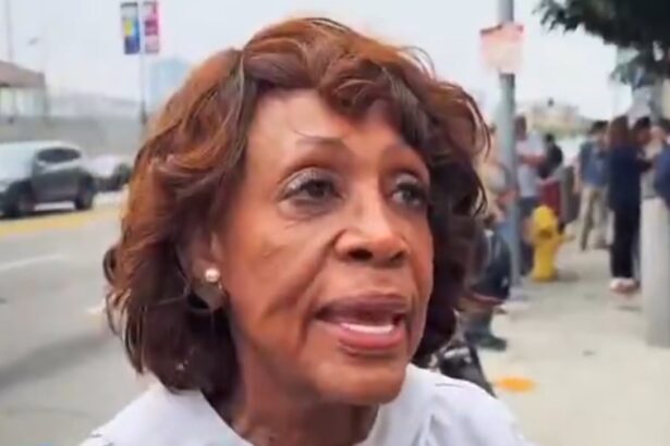 “What Are You Going to Do? Shoot Some Kids?” – Democrat Rep. Maxine Waters Taunts National Guard Troops in Downtown Los Angeles (VIDEO) |