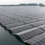 What will the rise of floating solar panels mean for wildlife?