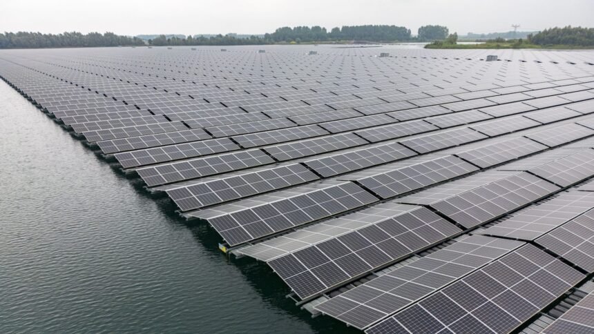 What will the rise of floating solar panels mean for wildlife?