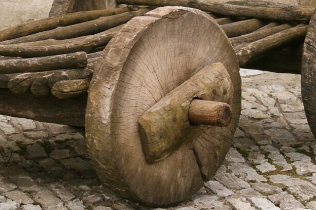 Wheels May Have Been Invented to Solve a Surprising Problem : ScienceAlert