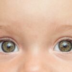 When Do Babies Become Conscious?