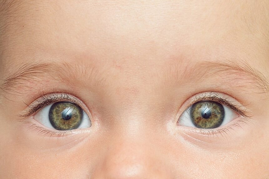 When Do Babies Become Conscious?