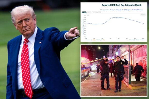 White House celebrates plummeting murder rates as levels dip below pre-COVID numbers