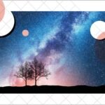 Why are the physical constants of the universe so perfect for life?