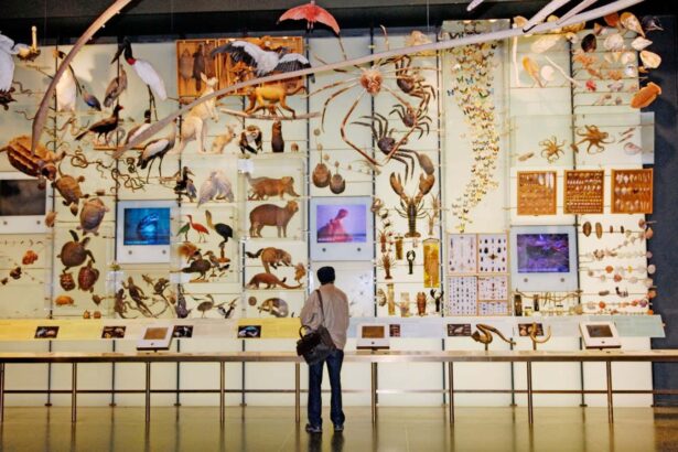 Why avoiding a sixth mass extinction is easier than it sounds