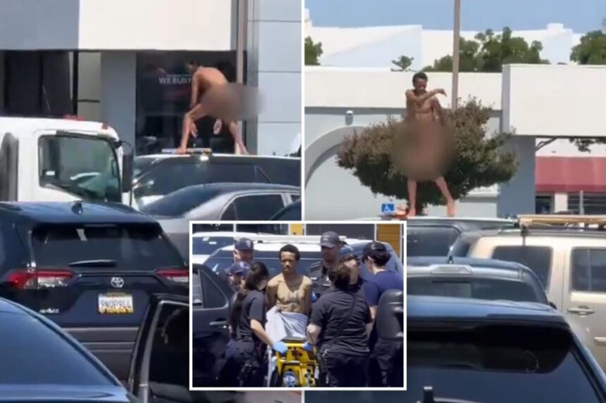 Wild video shows naked man dancing on top of moving cop car in Calif.