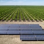 Wind and Solar Energy Are Cheaper Than Electricity from Fossil-Fuel Plants