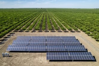 Wind and Solar Energy Are Cheaper Than Electricity from Fossil-Fuel Plants