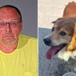 Wis. pol accused of strangling lost golden retriever as good Samaritan watched in horror