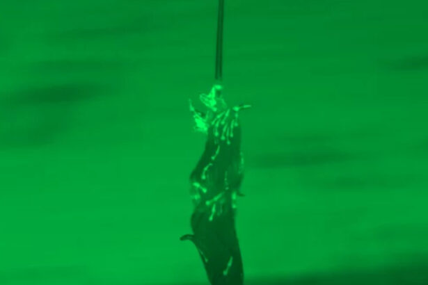 Worms Use Their Bodies to Build Towers as a Wild Survival Strategy : ScienceAlert