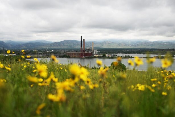 Xcel plans Colorado coal ash cleanup as toxins seep into groundwater