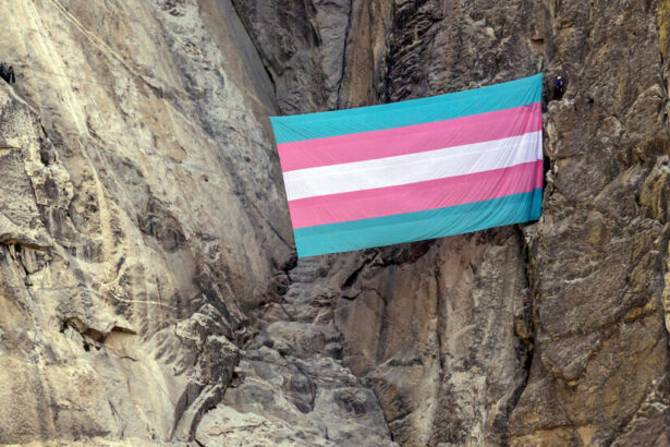 Yosemite Bans Large Flags From El Capitan, Criminalizing Protests