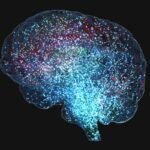 Your Brain Is Glowing, and Scientists Can’t Figure Out Why