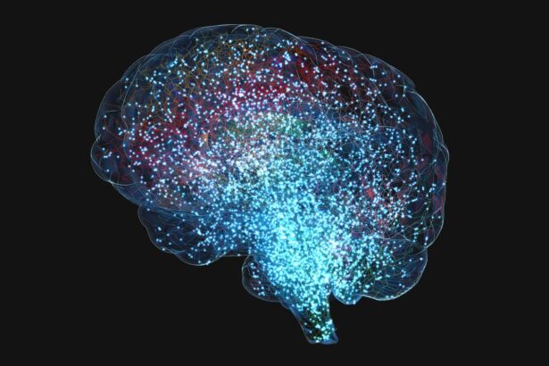 Your Brain Is Glowing, and Scientists Can’t Figure Out Why