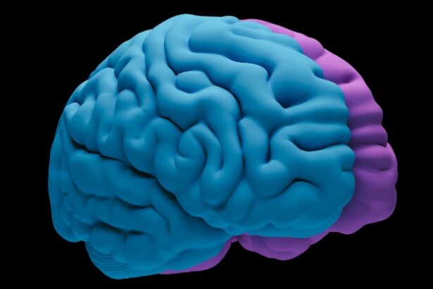 Your Brain Wrinkles Are Way More Important Than We Ever Realized : ScienceAlert