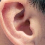 Your Ear Wax Might Hold Clues to Early Parkinson’s, Study Finds : ScienceAlert