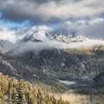 Your favorite campgrounds, hiking trails, and forests could soon be up for auction